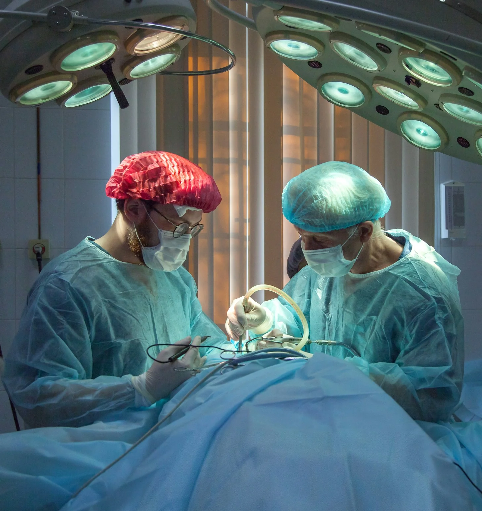 Chiropractor reviewing a patient's spinal model and care plan in a modern clinic